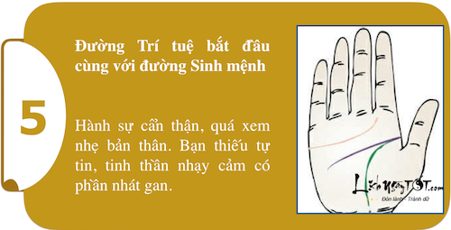 Khám phá sức mạnh cá tính ngay trong lòng bàn tay P1 hình ảnh gốc 5 Kham pha suc manh ca tinh ngay trong long ban tay P1 hinh anh goc 5