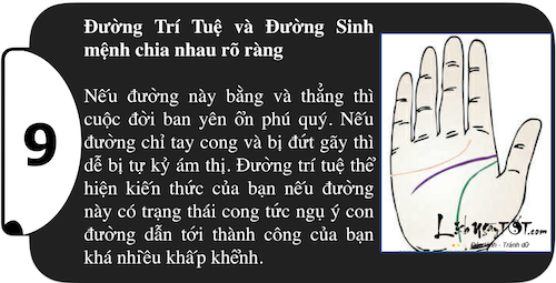 Khám phá sức mạnh cá tính ngay trong lòng bàn tay P1 hình ảnh gốc 9 Kham pha suc manh ca tinh ngay trong long ban tay P1 hinh anh goc 9