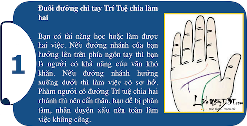 Khám phá sức mạnh cá tính ngay trong lòng bàn tay P1 hình ảnh gốc Kham pha suc manh ca tinh ngay trong long ban tay P1 hinh anh goc