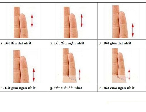 Khám phá tính cách và đời người qua đốt ngón tay hình ảnh Kham pha tinh cach va doi nguoi qua dot ngon tay hinh anh