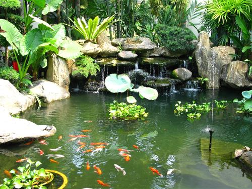 kich hoat phong thuy huong dong nam