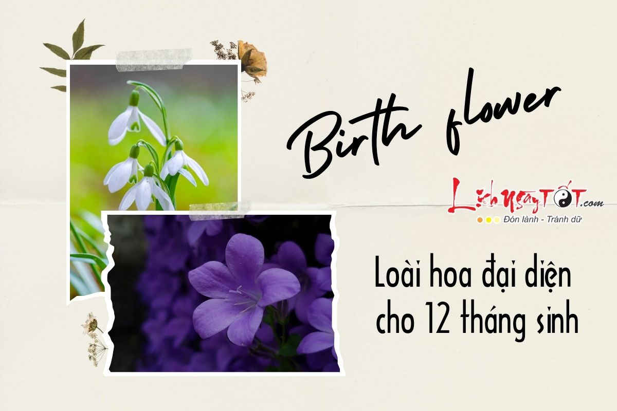 Loài hoa đại diện cho 12 tháng sinh Loai hoa dai dien cho 12 thang sinh