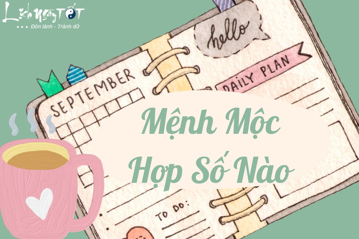 Mệnh Mộc hợp số nào để tài lộc ào ào Menh Moc hop so nao de tai loc ao ao