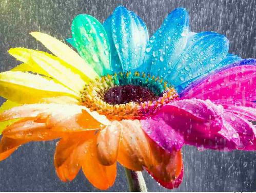 Mẹo phong thủy Cách hóa giải vận xui hiệu quả bất ngờ hình ảnh 2 Meo phong thuy Cach hoa giai van xui hieu qua bat ngo hinh anh 2