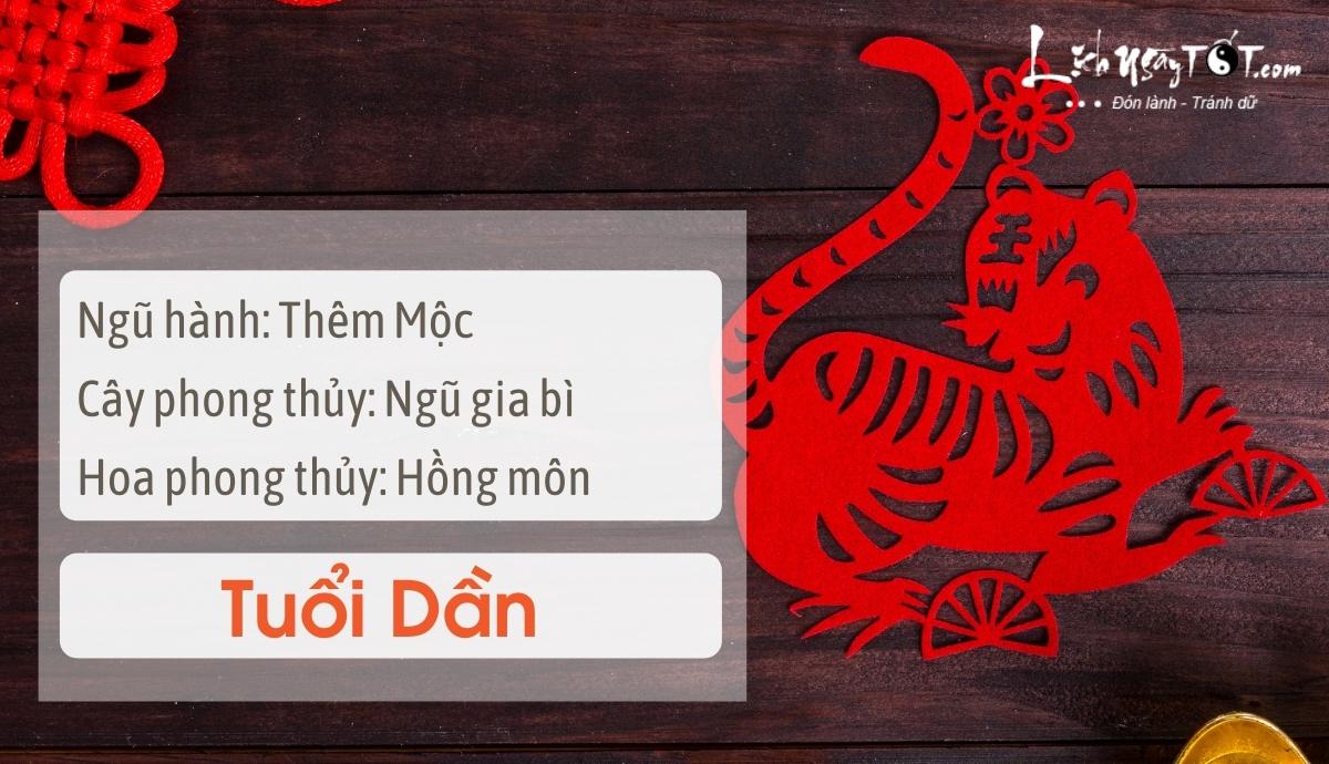 Mẹo phong thủy tăng may mắn cho tuổi Dần Meo phong thuy tang may man cho tuoi Dan