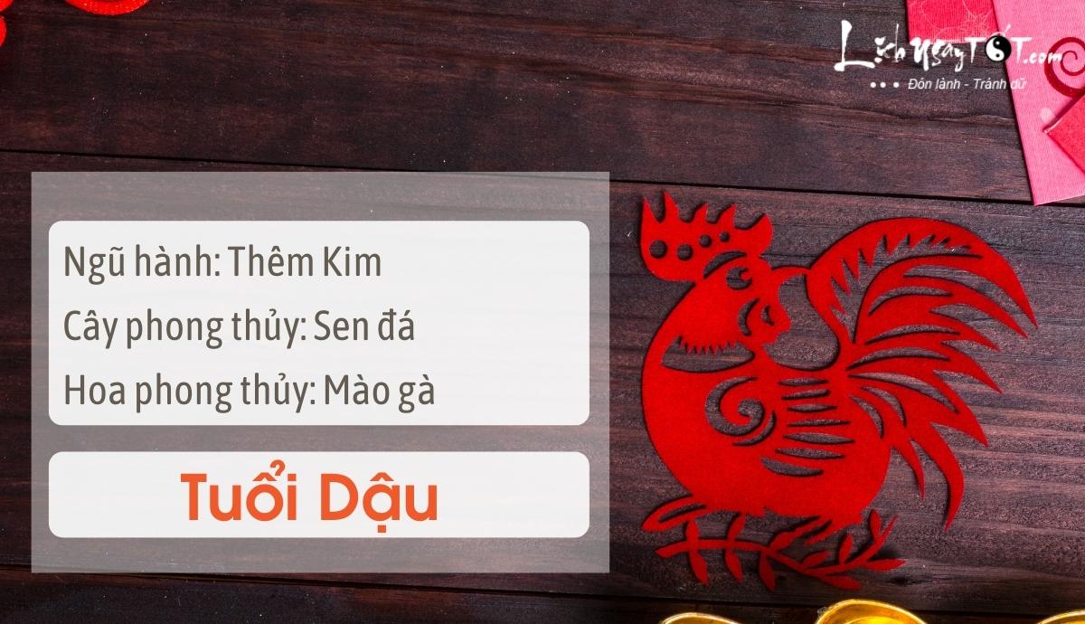 Mẹo phong thủy tăng may mắn cho tuổi Dậu Meo phong thuy tang may man cho tuoi Dau