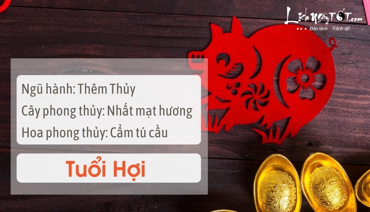 Mẹo phong thủy tăng may mắn cho tuổi Hợi Meo phong thuy tang may man cho tuoi Hoi