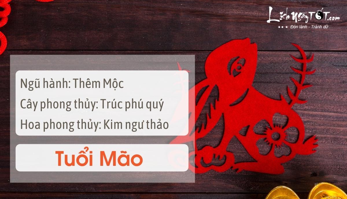 Mẹo phong thủy tăng may mắn cho tuổi Mão Meo phong thuy tang may man cho tuoi Mao