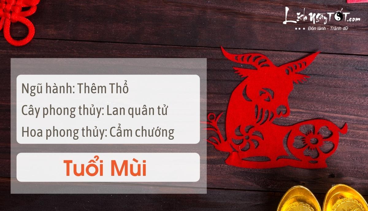 Mẹo phong thủy tăng may mắn cho tuổi Mùi Meo phong thuy tang may man cho tuoi Mui