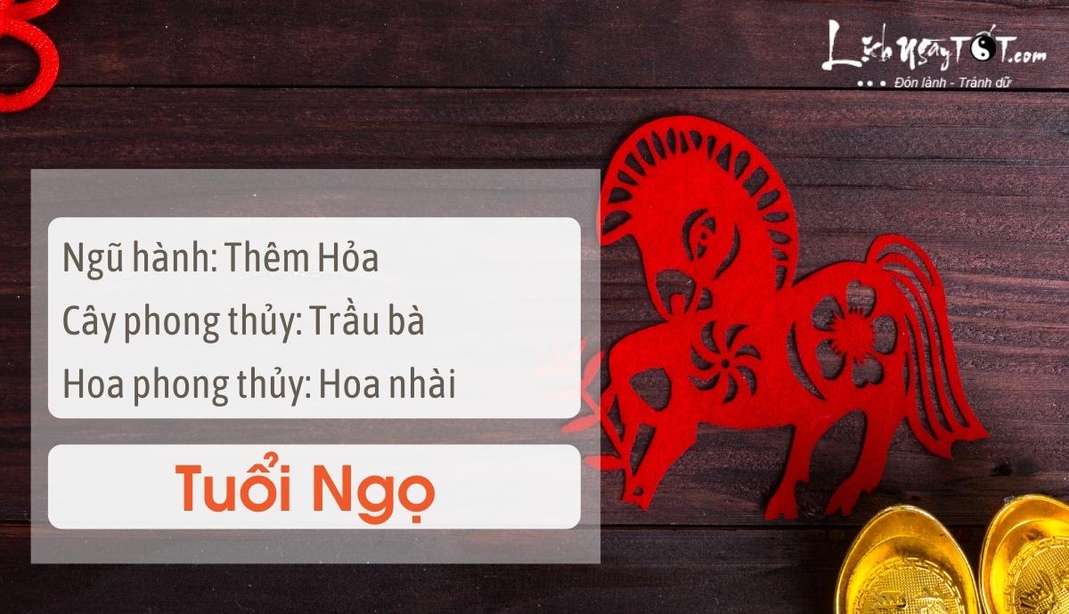 Mẹo phong thủy tăng may mắn cho tuổi Ngọ Meo phong thuy tang may man cho tuoi Ngo