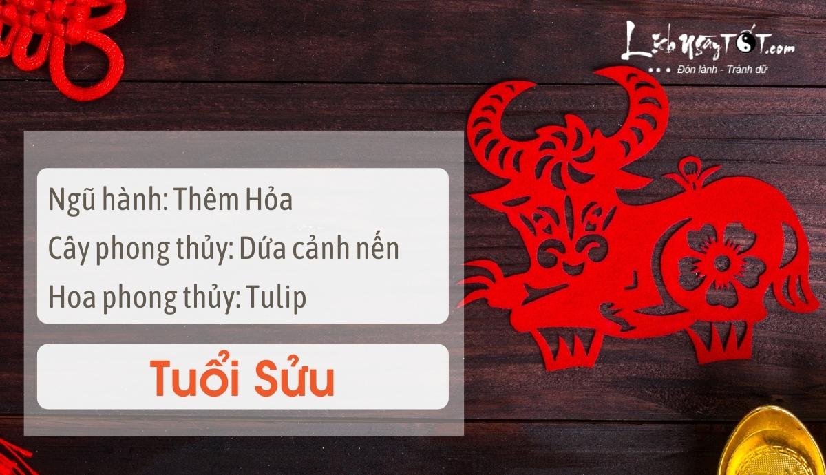 Mẹo phong thủy tăng may mắn cho tuổi Sửu Meo phong thuy tang may man cho tuoi Suu