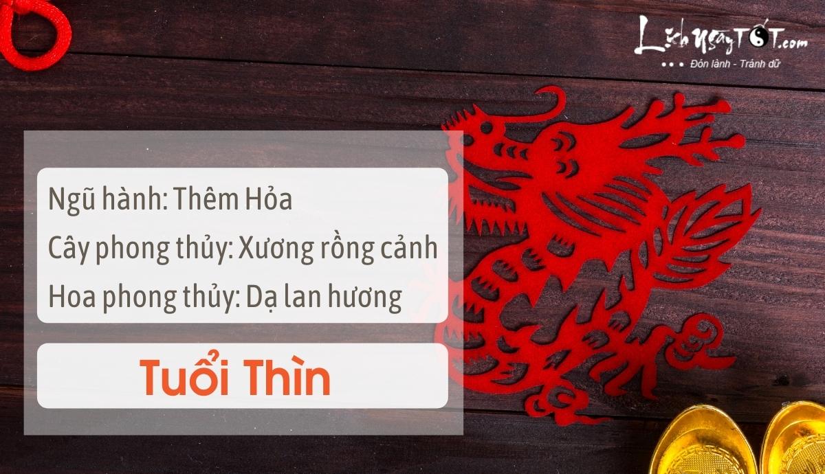 Mẹo phong thủy tăng may mắn cho tuổi Thìn Meo phong thuy tang may man cho tuoi Thin
