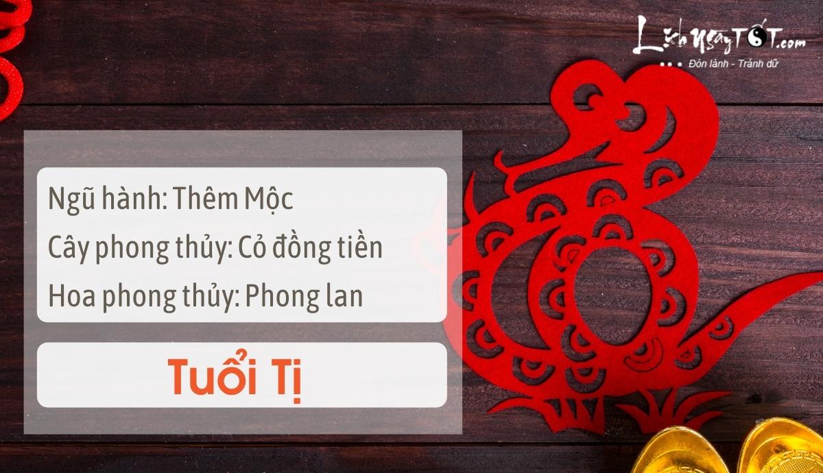 Mẹo phong thủy tăng may mắn cho tuổi Tị Meo phong thuy tang may man cho tuoi Ti