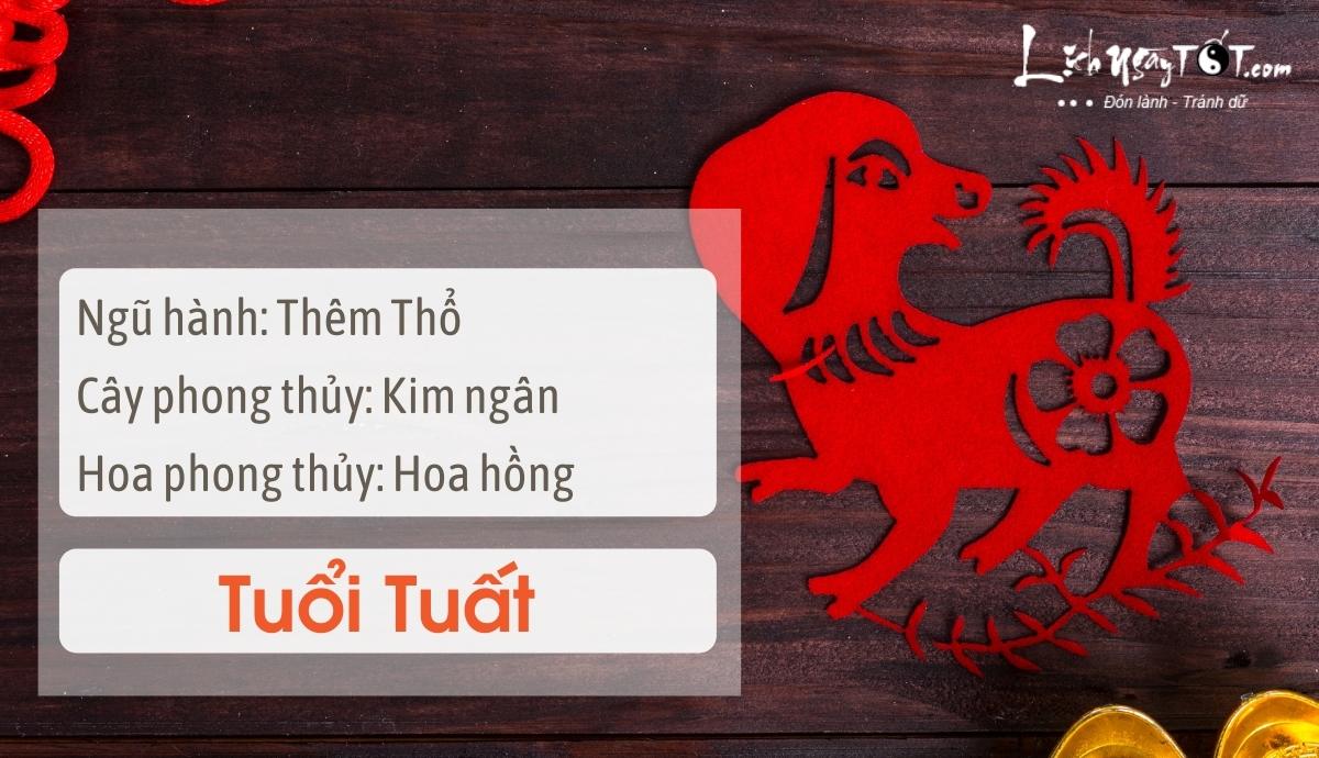 Mẹo phong thủy tăng may mắn cho tuổi Tuất Meo phong thuy tang may man cho tuoi Tuat