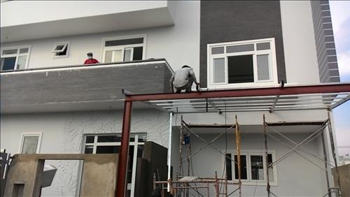 muon tuoi khi sua nha muon tuoi khi sua nha