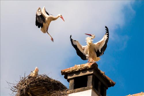 ngoi nha co phong thuy tot ngoi nha co phong thuy tot