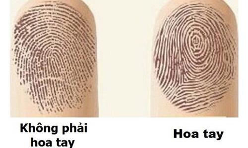 ngón cái và ngón nhẫn có hoa tay ngon cai va ngon nhan co hoa tay
