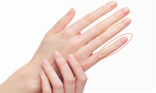 Xem tướng tay phụ nữ giỏi Xem tuong tay phu nu gioi