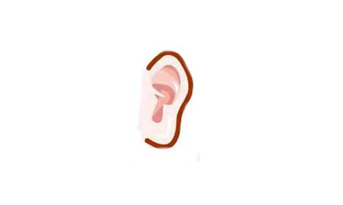 Nhận biết số sướng khổ của phụ nữ qua tướng tai hình ảnh 5 Nhan biet so suong kho cua phu nu qua tuong tai hinh anh 5