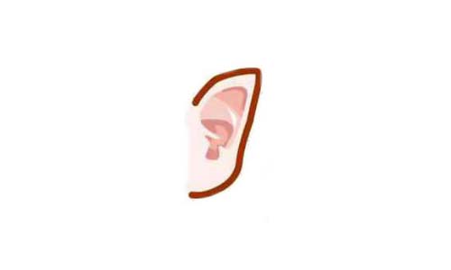 Nhận biết số sướng khổ của phụ nữ qua tướng tai hình ảnh 6 Nhan biet so suong kho cua phu nu qua tuong tai hinh anh 6