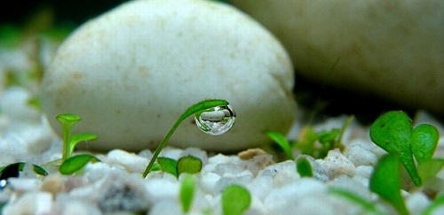 Những nguyên tắc cơ bản cấu thành hệ thống phong thủy hình ảnh Nhung nguyen tac co ban cau thanh he thong phong thuy hinh anh