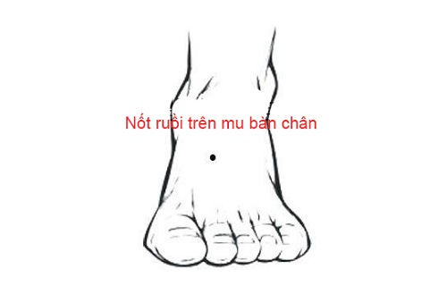 Nốt ruồi ở chân, vị trí mu bàn chân Not ruoi o chan, vi tri mu ban chan