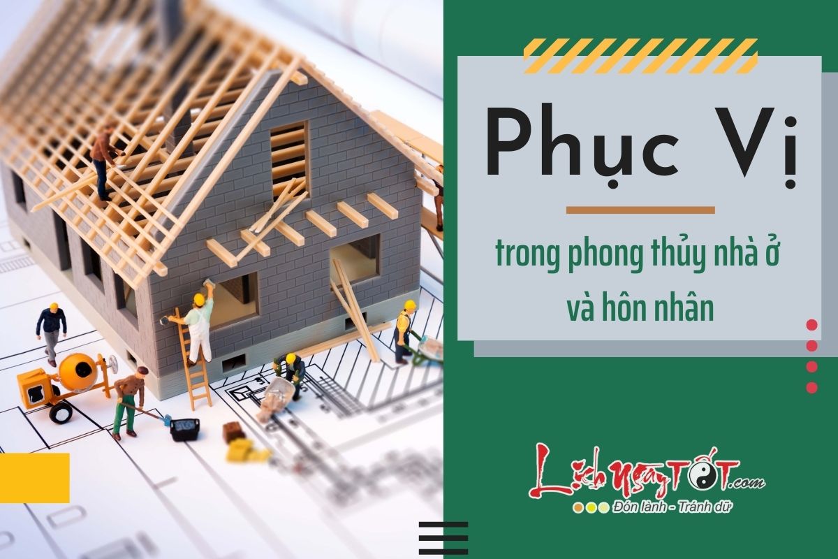 Phục Vị là gì? Phuc Vi la gi?