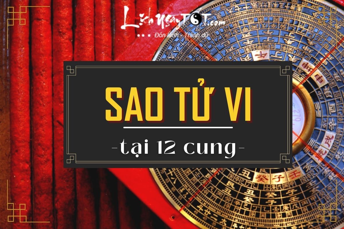 Sao Tu Vi tai 12 cung