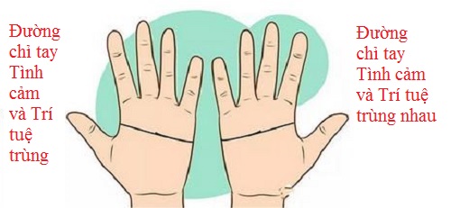 So đường chỉ tay Tình cảm để biết tình yêu của 2 bạn P2 hình ảnh gốc 2 So duong chi tay Tinh cam de biet tinh yeu cua 2 ban P2 hinh anh goc 2