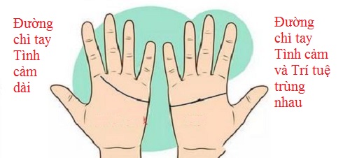 So đường chỉ tay Tình cảm để biết tình yêu của 2 bạn P2 hình ảnh gốc 4 So duong chi tay Tinh cam de biet tinh yeu cua 2 ban P2 hinh anh goc 4