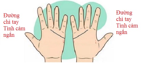 So đường chỉ tay Tình cảm để biết tình yêu của 2 bạn P2 hình ảnh gốc So duong chi tay Tinh cam de biet tinh yeu cua 2 ban P2 hinh anh goc
