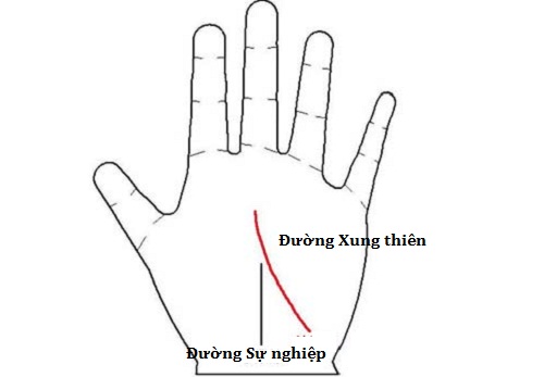 Soi tuong tay cua quy co co nguy co e dai hinh anh 2