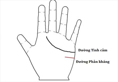 Soi tuong tay cua quy co co nguy co e dai hinh anh 2