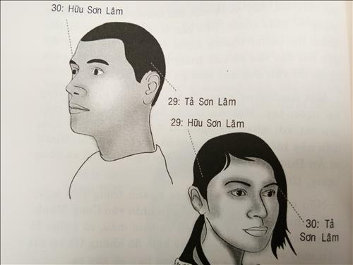 son lam son lam