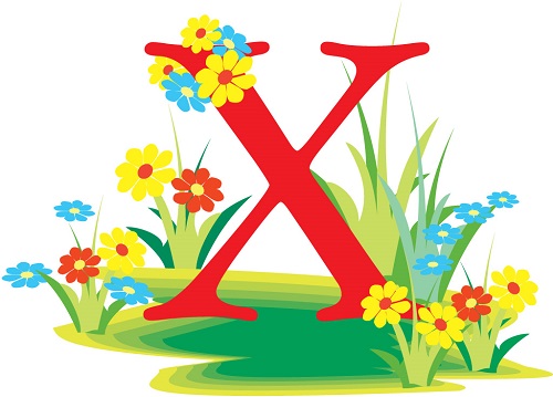 Tên vần X chọn thế nào cho tốt hình ảnh Ten van X chon the nao cho tot hinh anh