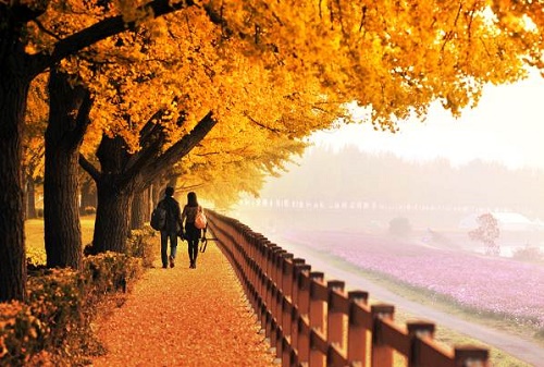 Tiết Thu Phân - Nửa mùa thu trôi qua