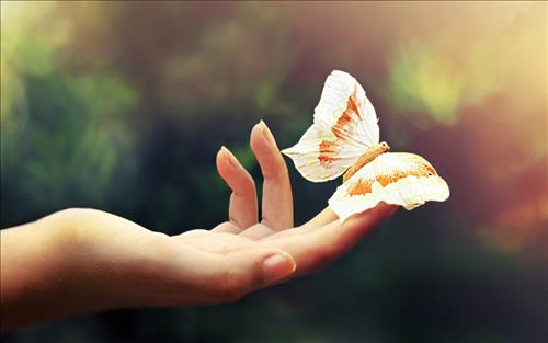 Tướng bàn tay phú quý Tuong ban tay phu quy