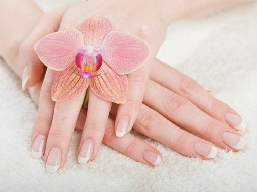 Tướng tay nữ giới dễ lấy chồng giàu sang hình ảnh Tuong tay nu gioi de lay chong giau sang hinh anh