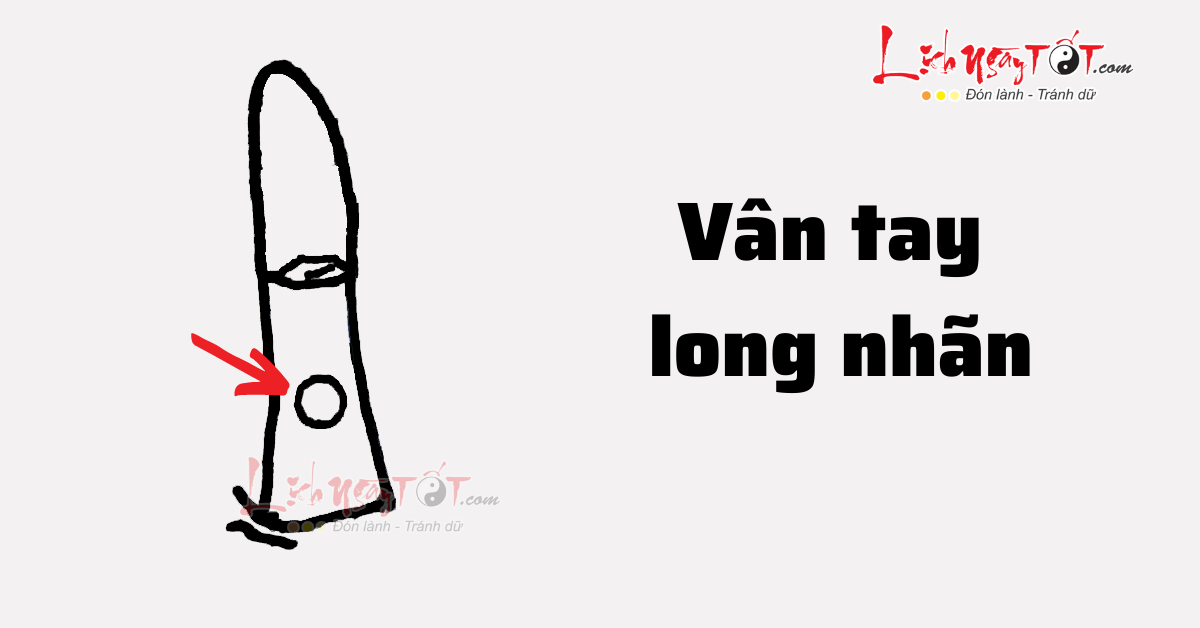 Vân long nhãn Van long nhan