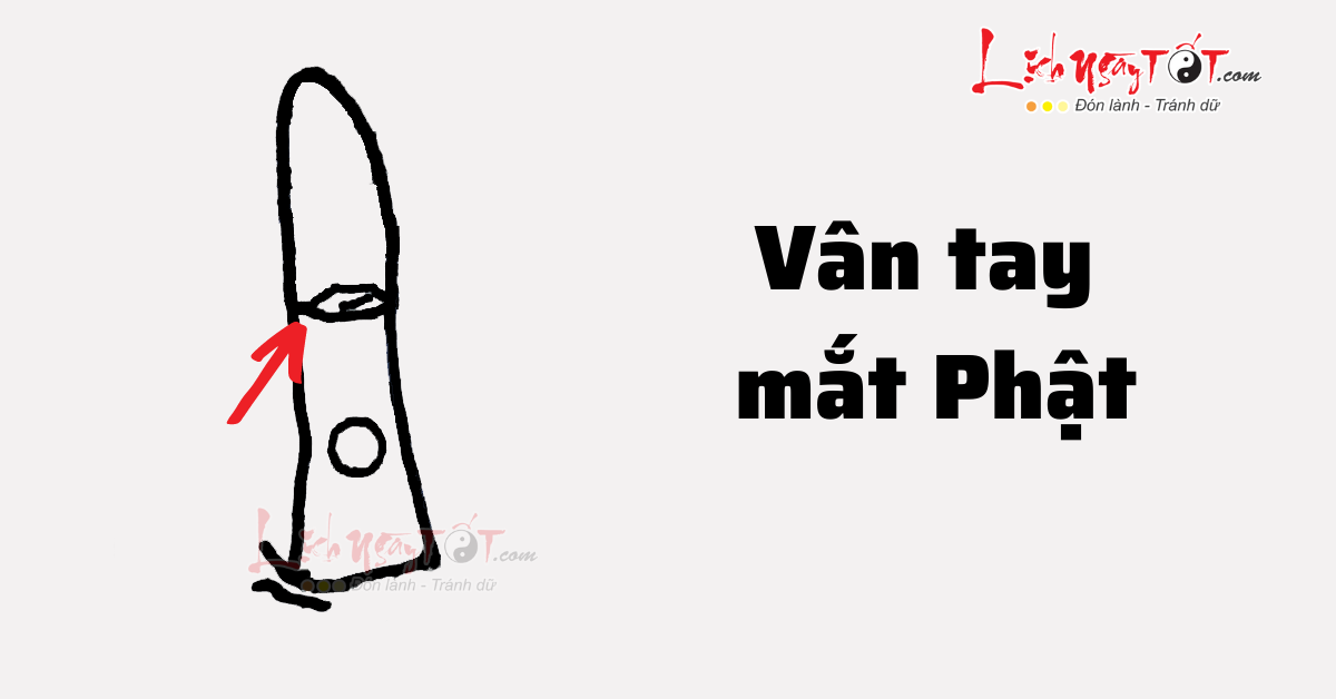 Vân mắt phật Van mat phat