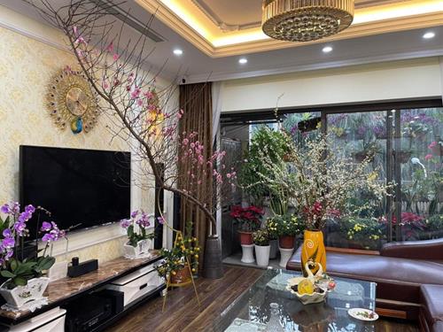 Vị trí đặt cây cảnh ngày Tết theo phong thủy Vi tri dat cay canh ngay Tet theo phong thuy