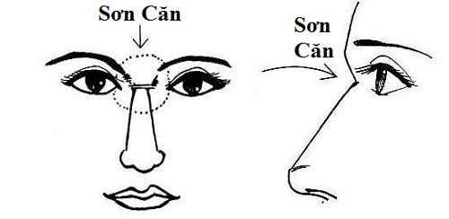 Vị trí và đặc điểm của tướng Sơn Căn hình ảnh 2 Vi tri va dac diem cua tuong Son Can hinh anh 2