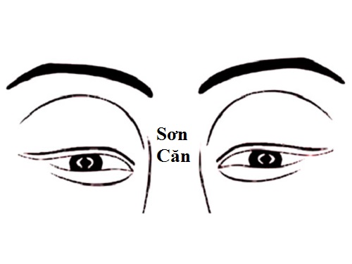 Vị trí và đặc điểm của tướng Sơn Căn hình ảnh Vi tri va dac diem cua tuong Son Can hinh anh