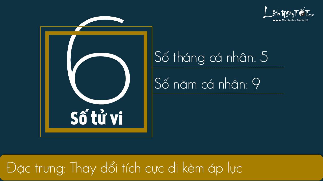Xem boi ngay sinh - Than so hoc thang 52019 - So tu vi 6