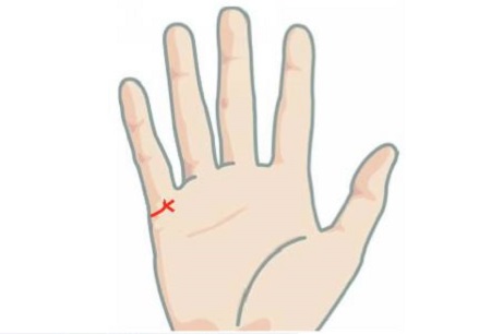 Xem chỉ tay để biết mức độ vượng tài sau hôn nhân hình ảnh 3 Xem chi tay de biet muc do vuong tai sau hon nhan hinh anh 3