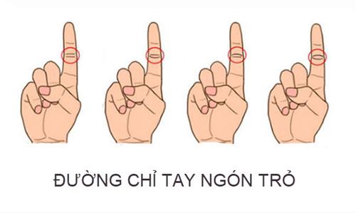 xem duong chi tay ngon tro xem duong chi tay ngon tro