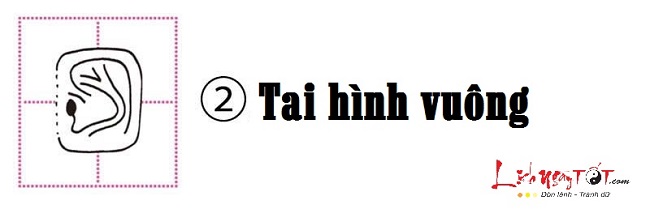 Xem hình dáng tai đoán biết tính cách bản chất con người hình ảnh gốc 2 Xem hinh dang tai doan biet tinh cach ban chat con nguoi hinh anh goc 2