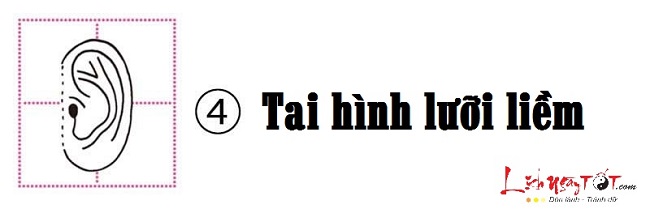 Xem hình dáng tai đoán biết tính cách bản chất con người hình ảnh gốc 4 Xem hinh dang tai doan biet tinh cach ban chat con nguoi hinh anh goc 4