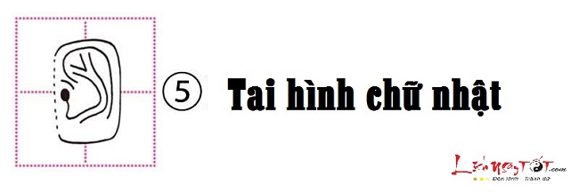Xem hình dáng tai đoán biết tính cách bản chất con người hình ảnh gốc 5 Xem hinh dang tai doan biet tinh cach ban chat con nguoi hinh anh goc 5
