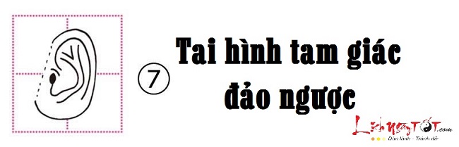 Xem hình dáng tai đoán biết tính cách bản chất con người hình ảnh gốc 7 Xem hinh dang tai doan biet tinh cach ban chat con nguoi hinh anh goc 7